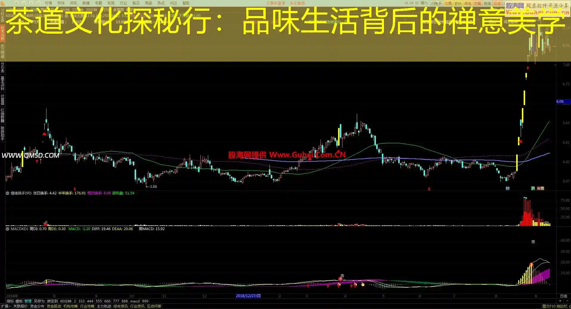 茶道文化探秘行：品味生活背后的禅意美学