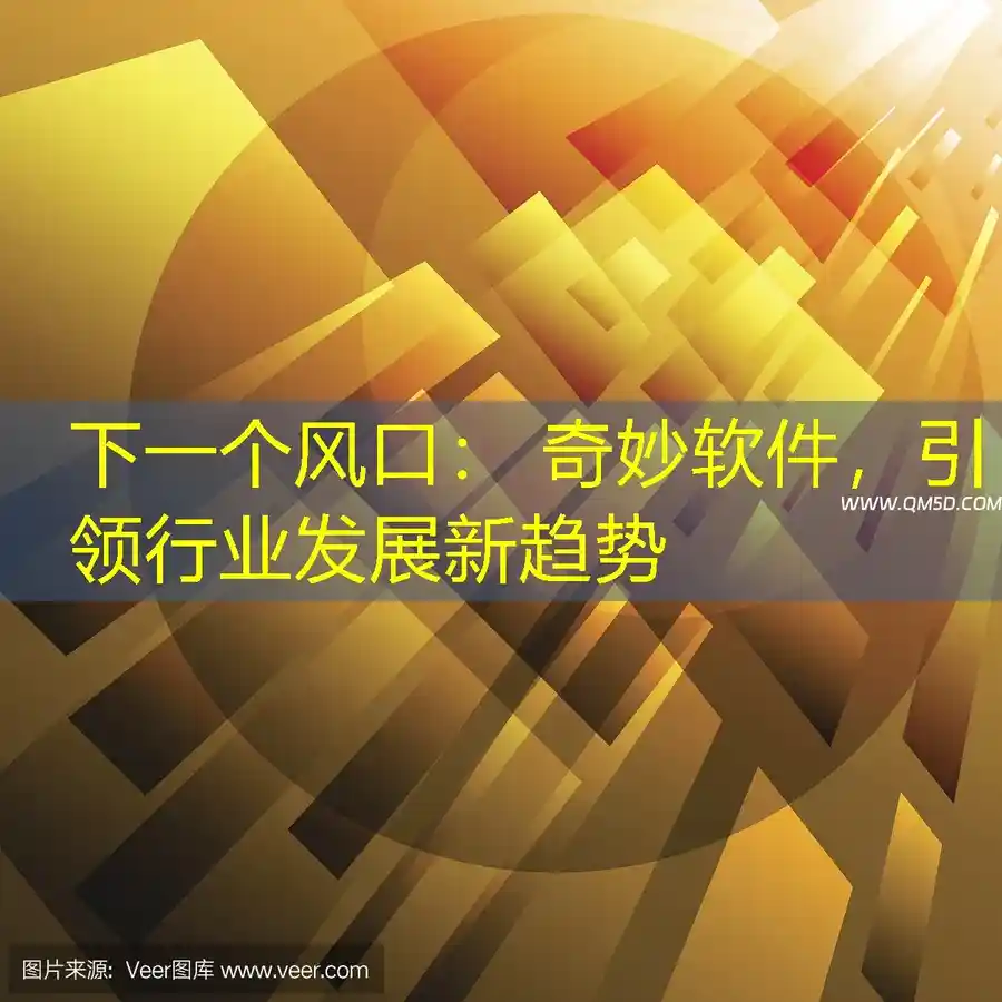 下一个风口： 奇妙软件，引领行业发展新趋势