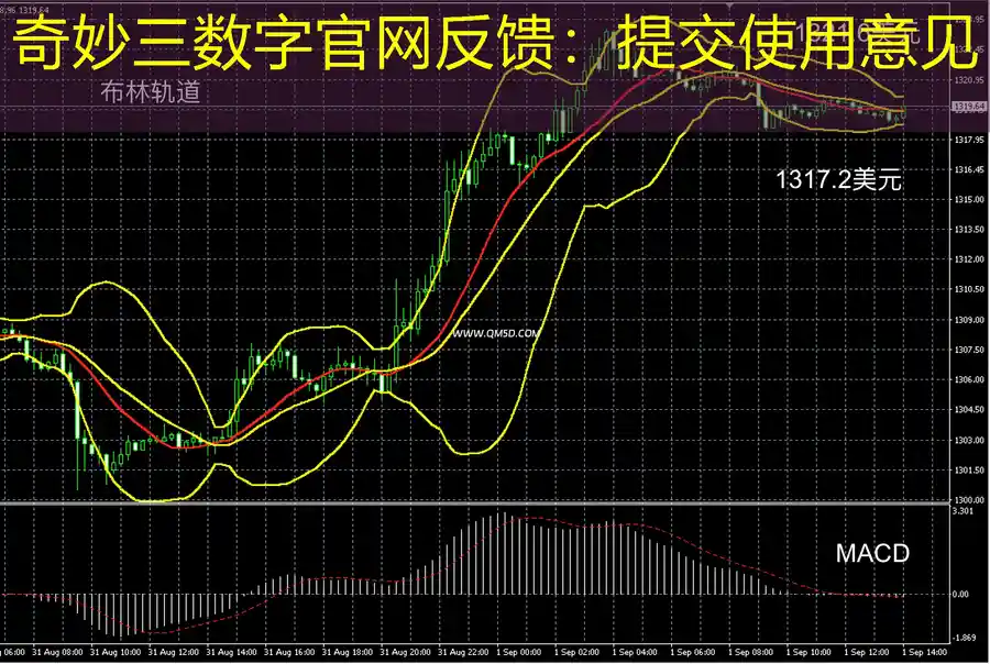 奇妙三数字官网反馈：提交使用意见