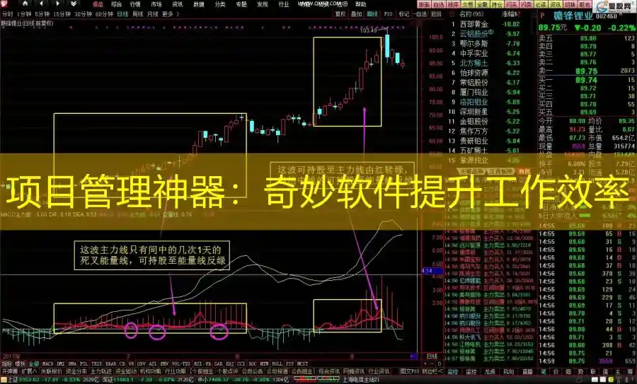 项目管理神器：奇妙软件提升工作效率