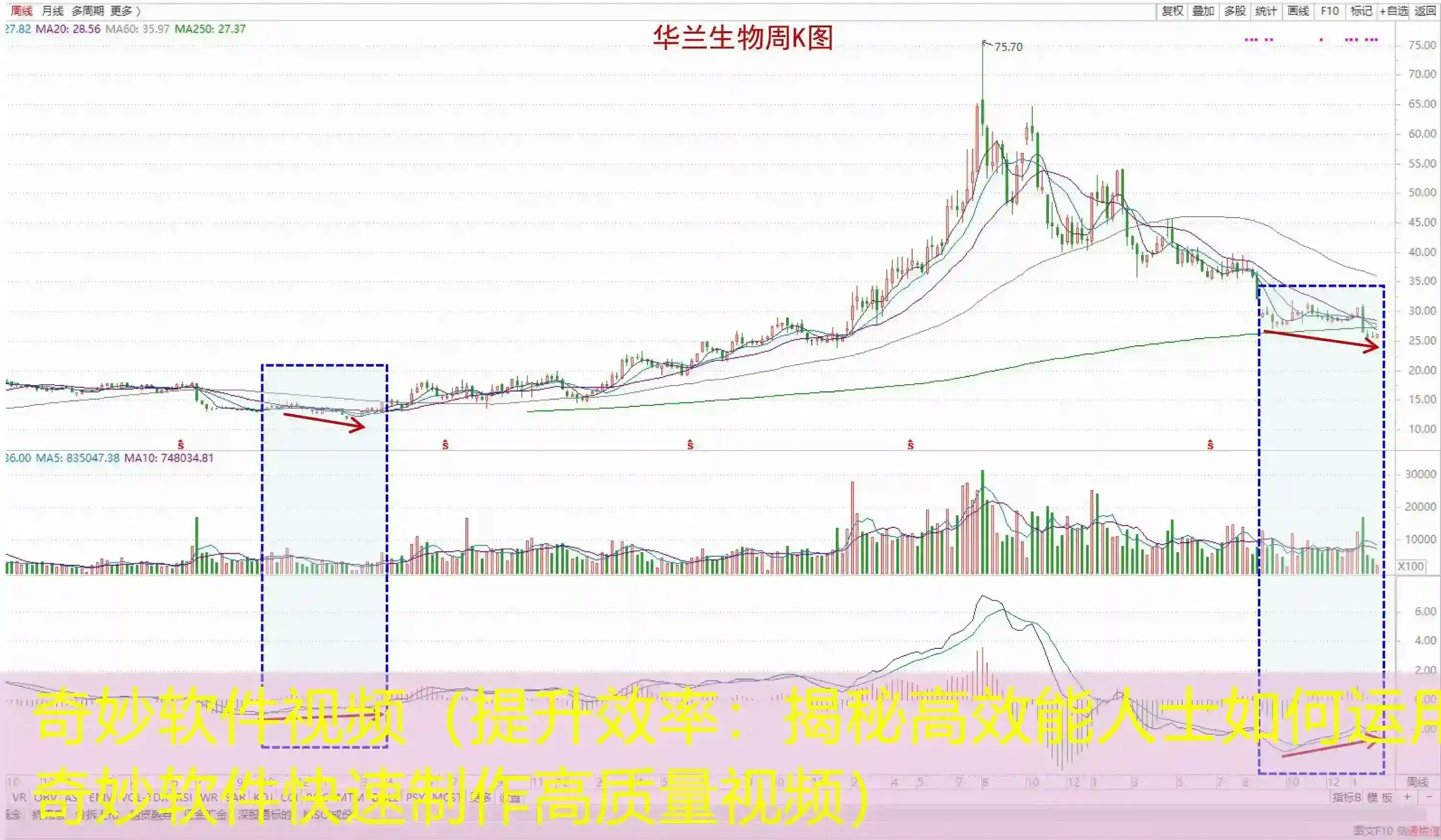 奇妙软件视频（提升效率：揭秘高效能人士如何运用奇妙软件快速制作高质量视频）