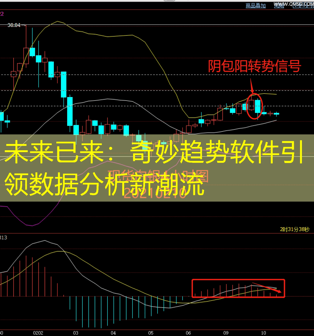 未来已来：奇妙趋势软件引领数据分析新潮流