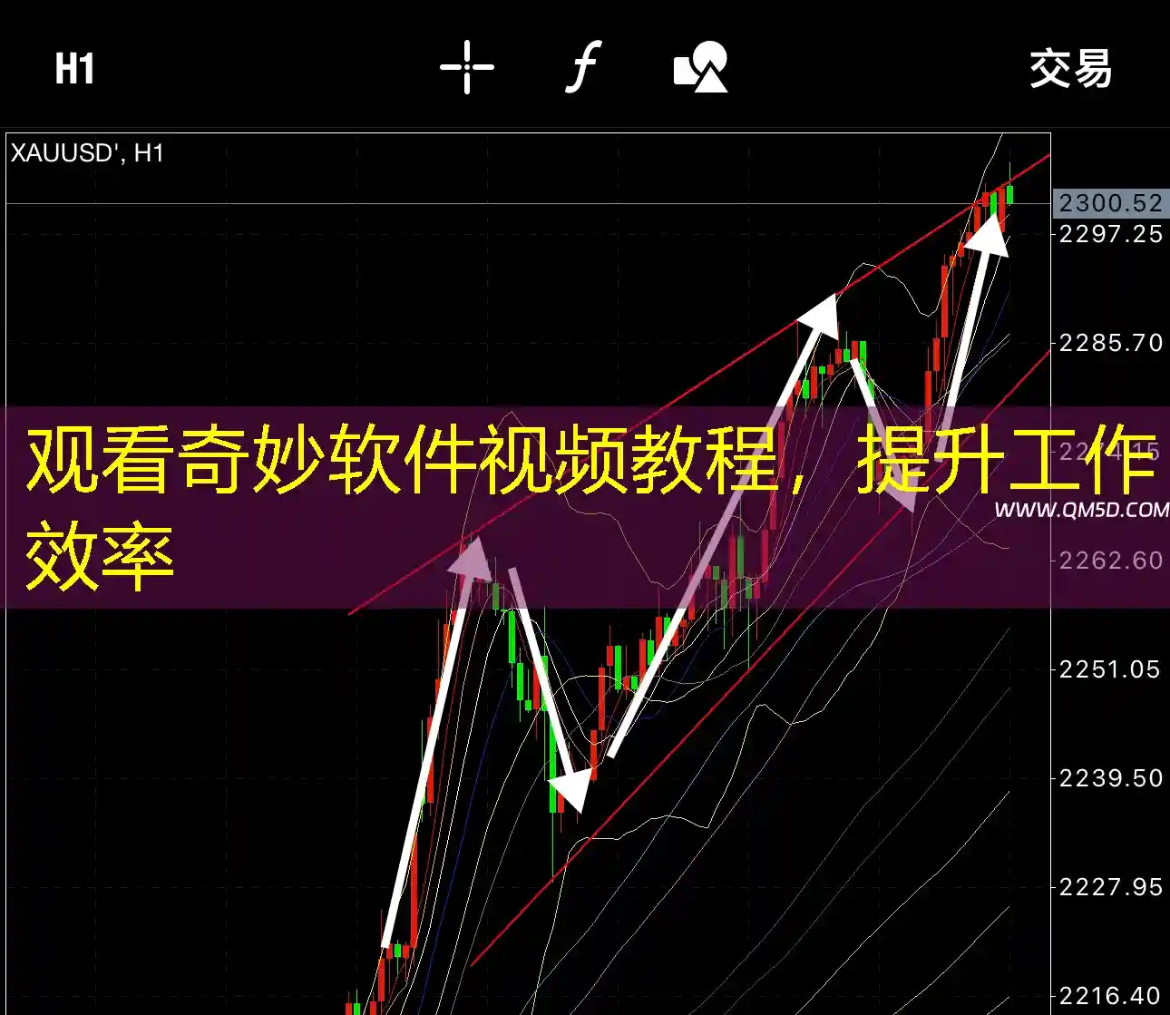 观看奇妙软件视频教程，提升工作效率