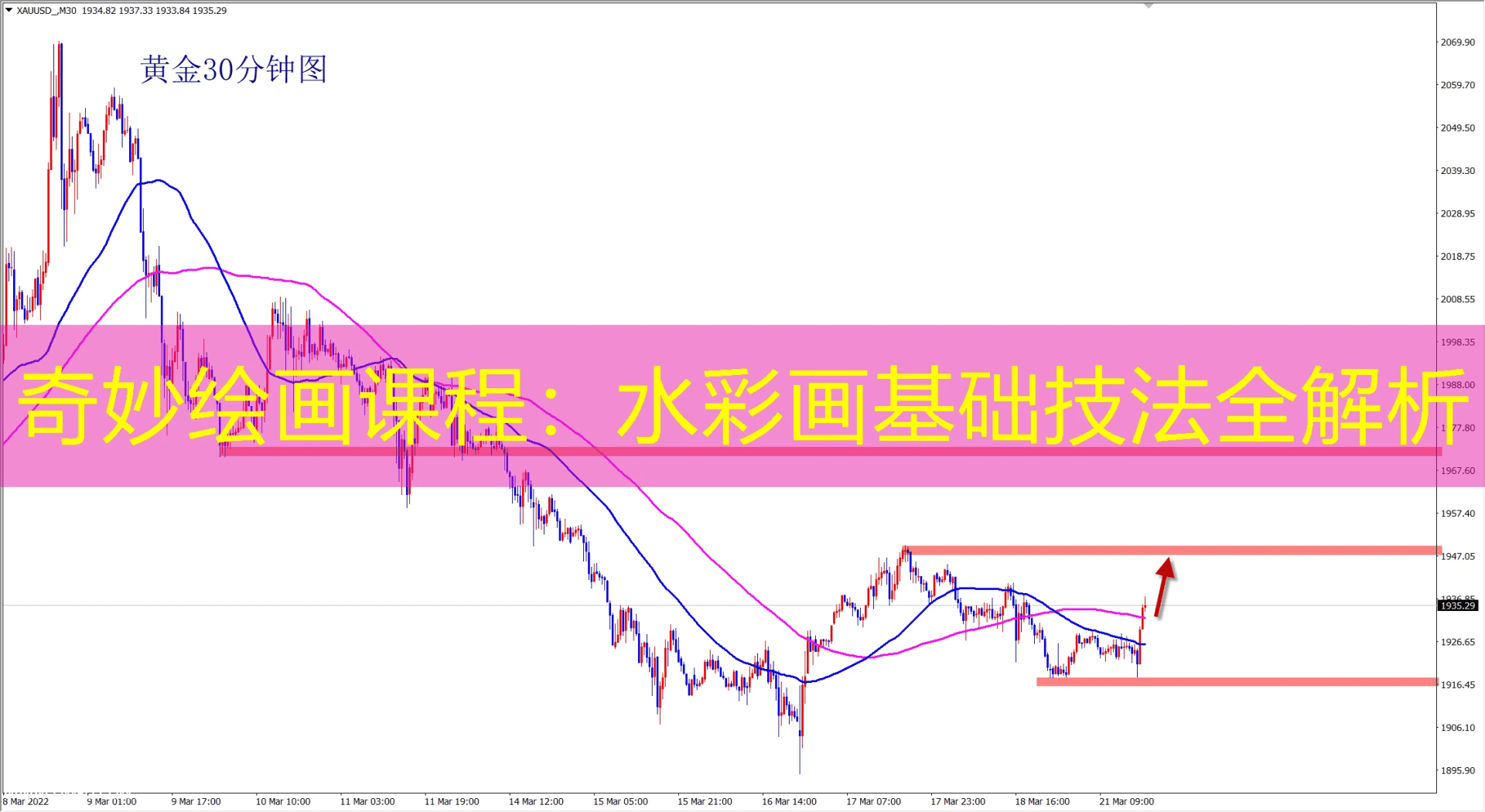 奇妙绘画课程：水彩画基础技法全解析