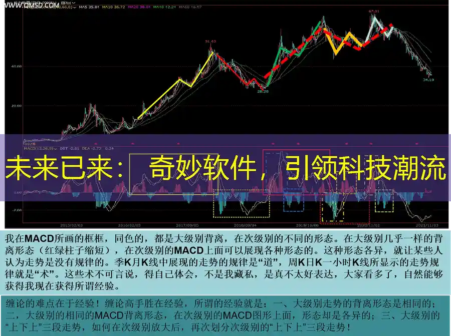 未来已来： 奇妙软件，引领科技潮流