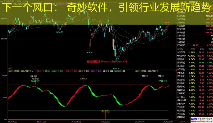 下一个风口： 奇妙软件，引领行业发展新趋势