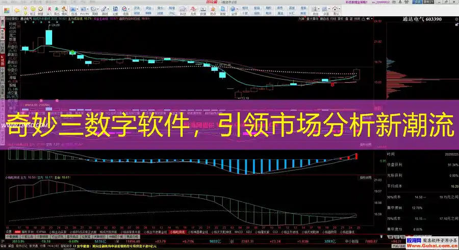 奇妙三数字软件，引领市场分析新潮流