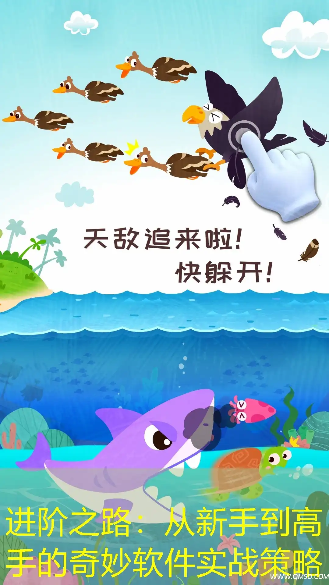 进阶之路：从新手到高手的奇妙软件实战策略