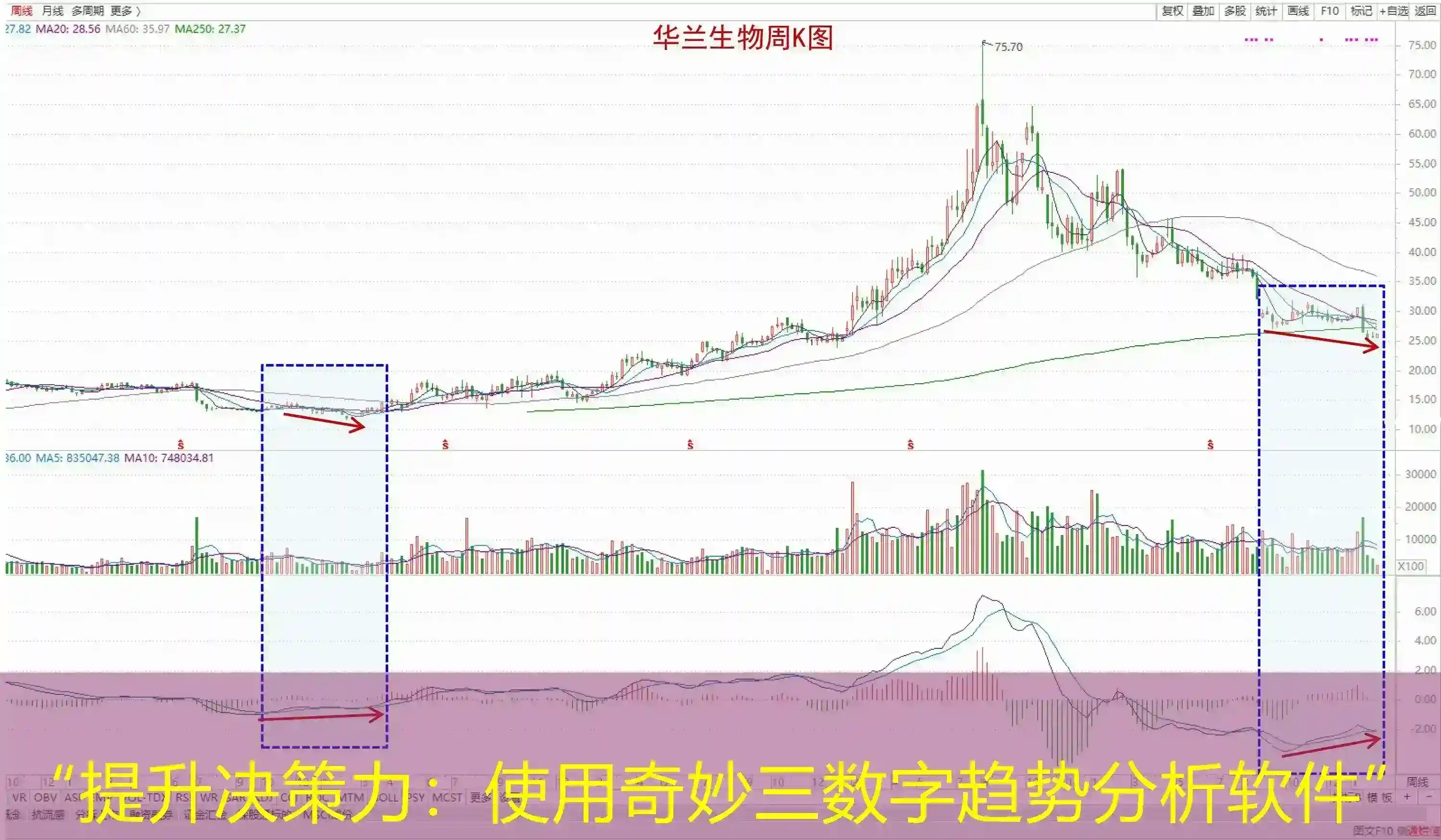 “提升决策力：使用奇妙三数字趋势分析软件”