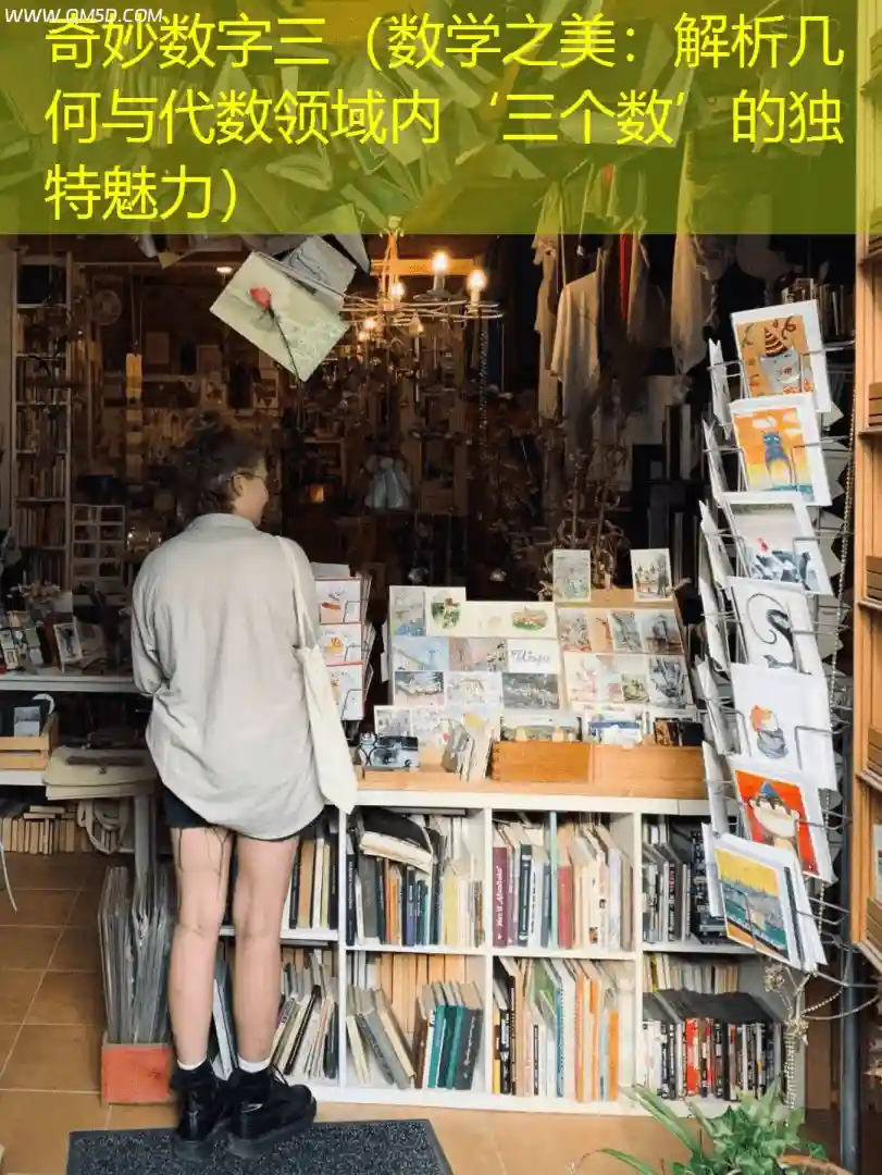 奇妙数字三（数学之美：解析几何与代数领域内‘三个数’的独特魅力）