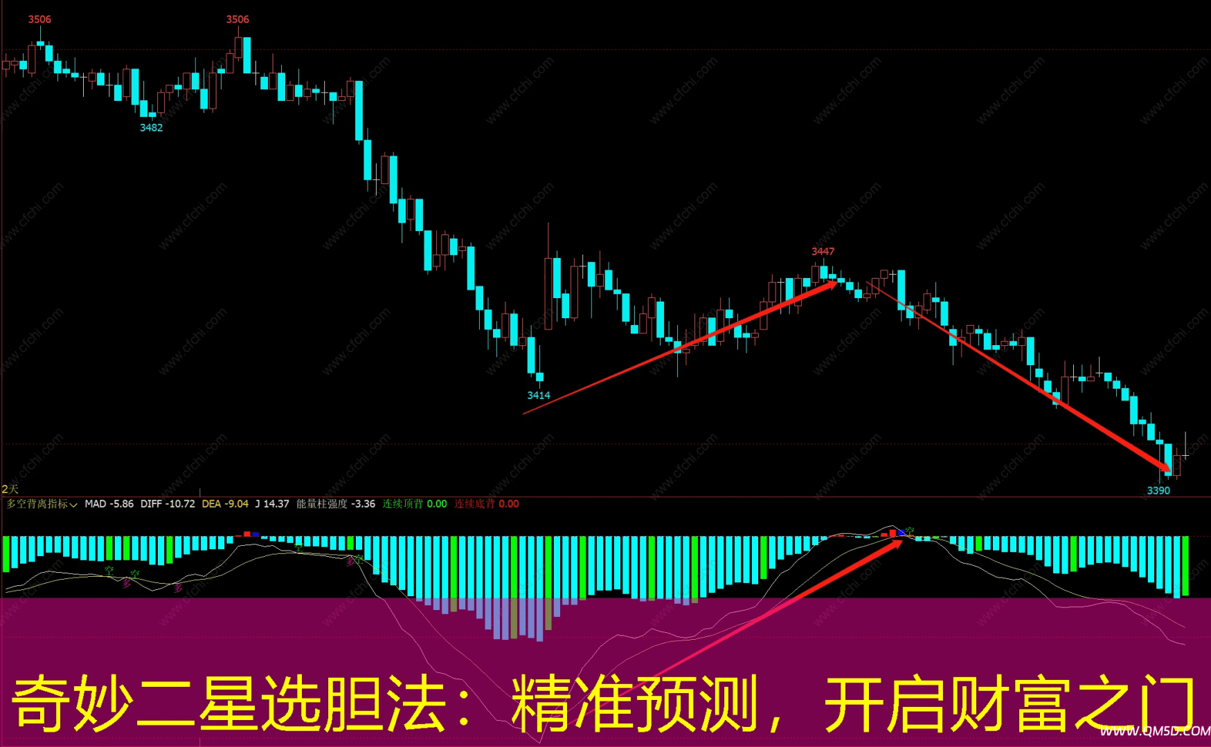 奇妙二星选胆法：精准预测，开启财富之门
