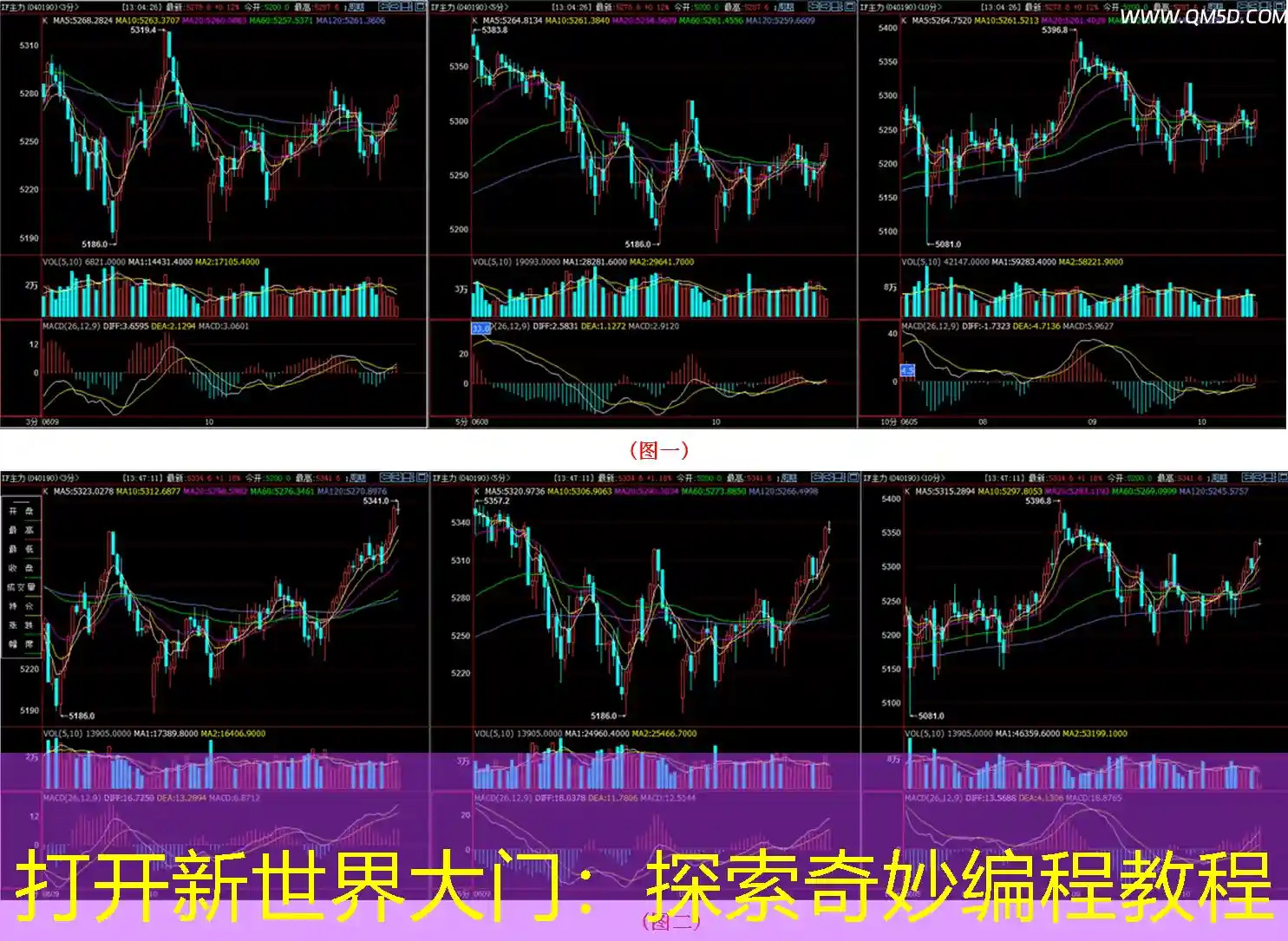 打开新世界大门：探索奇妙编程教程