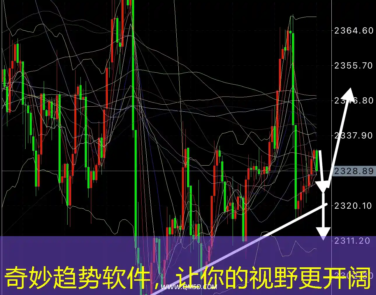 奇妙趋势软件，让你的视野更开阔