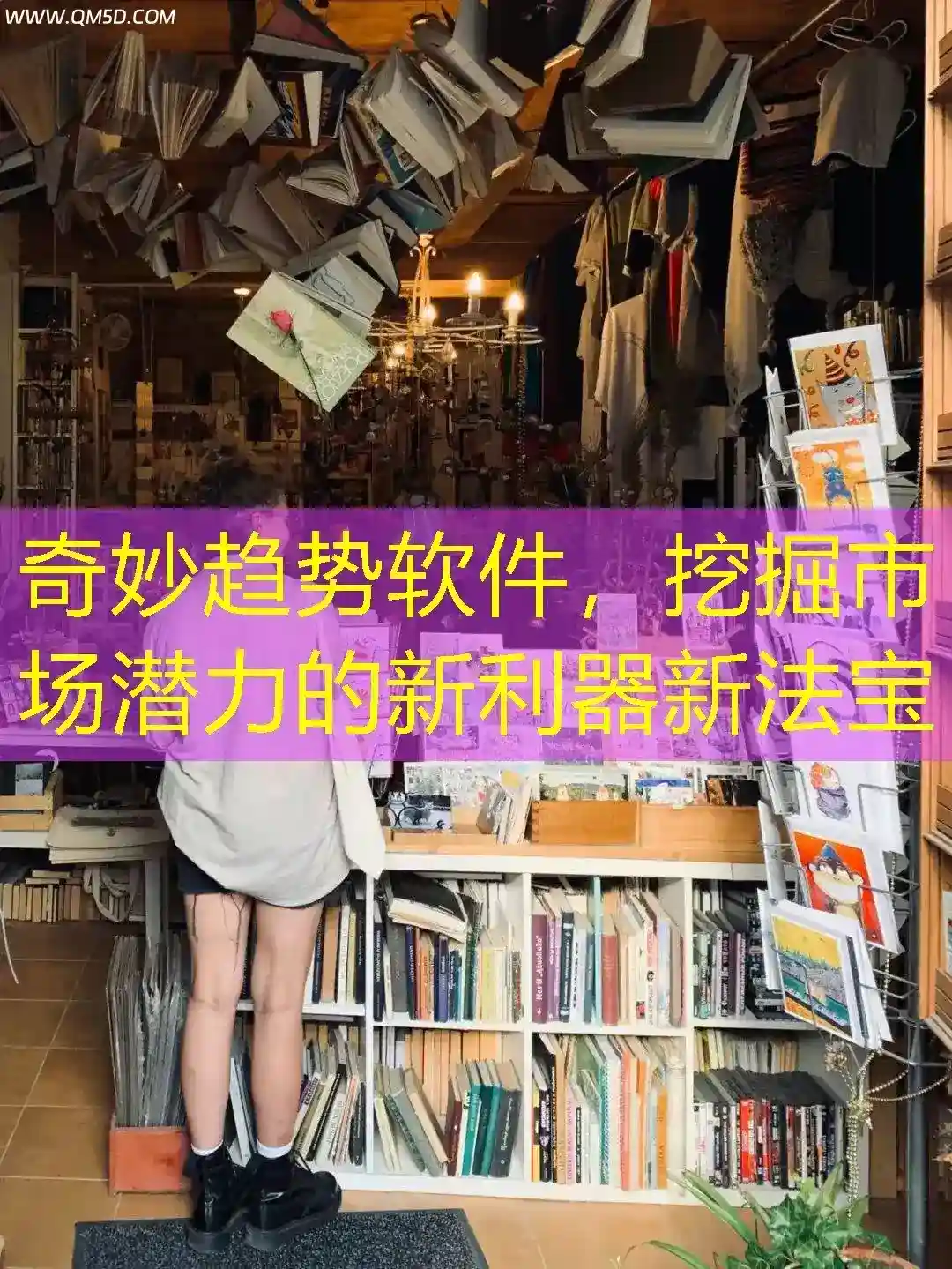 奇妙趋势软件，挖掘市场潜力的新利器新法宝