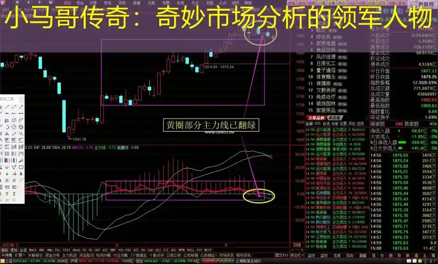 小马哥传奇：奇妙市场分析的领军人物