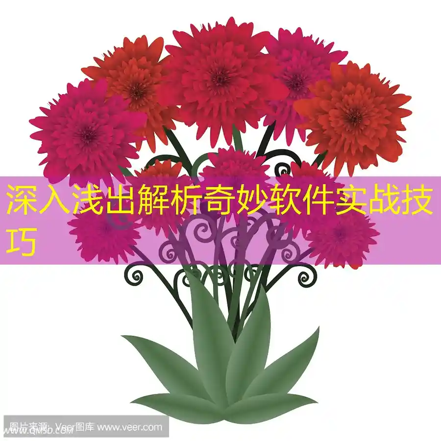 深入浅出解析奇妙软件实战技巧