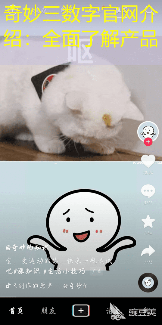 奇妙三数字官网介绍：全面了解产品