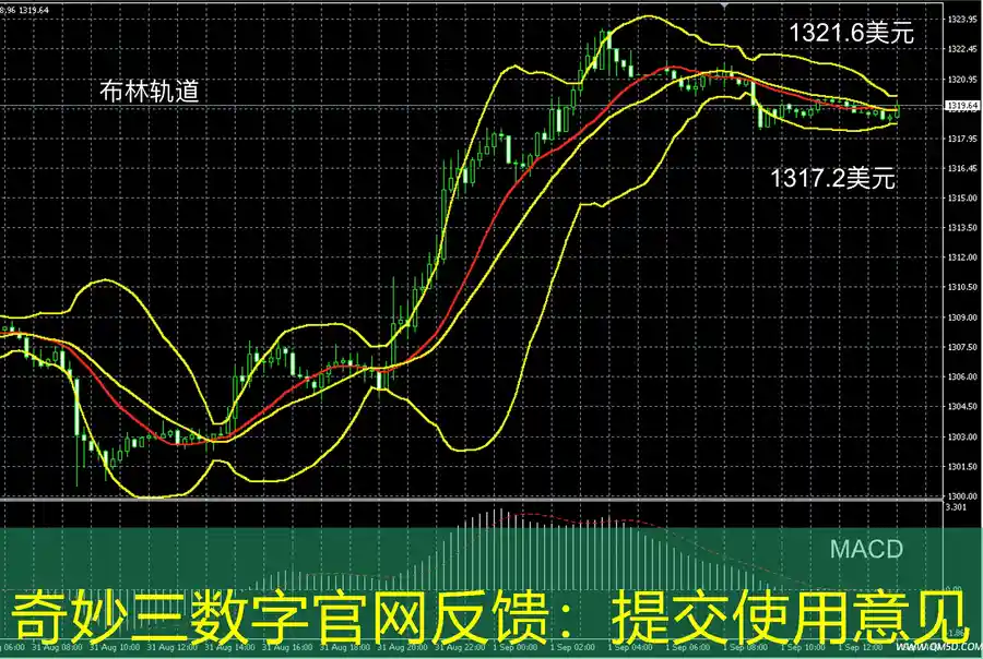 奇妙三数字官网反馈：提交使用意见