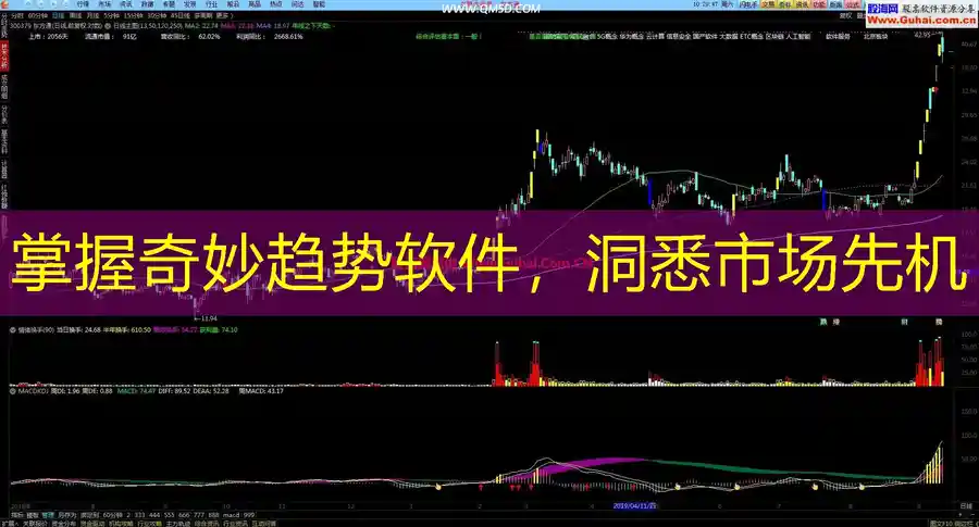 掌握奇妙趋势软件，洞悉市场先机