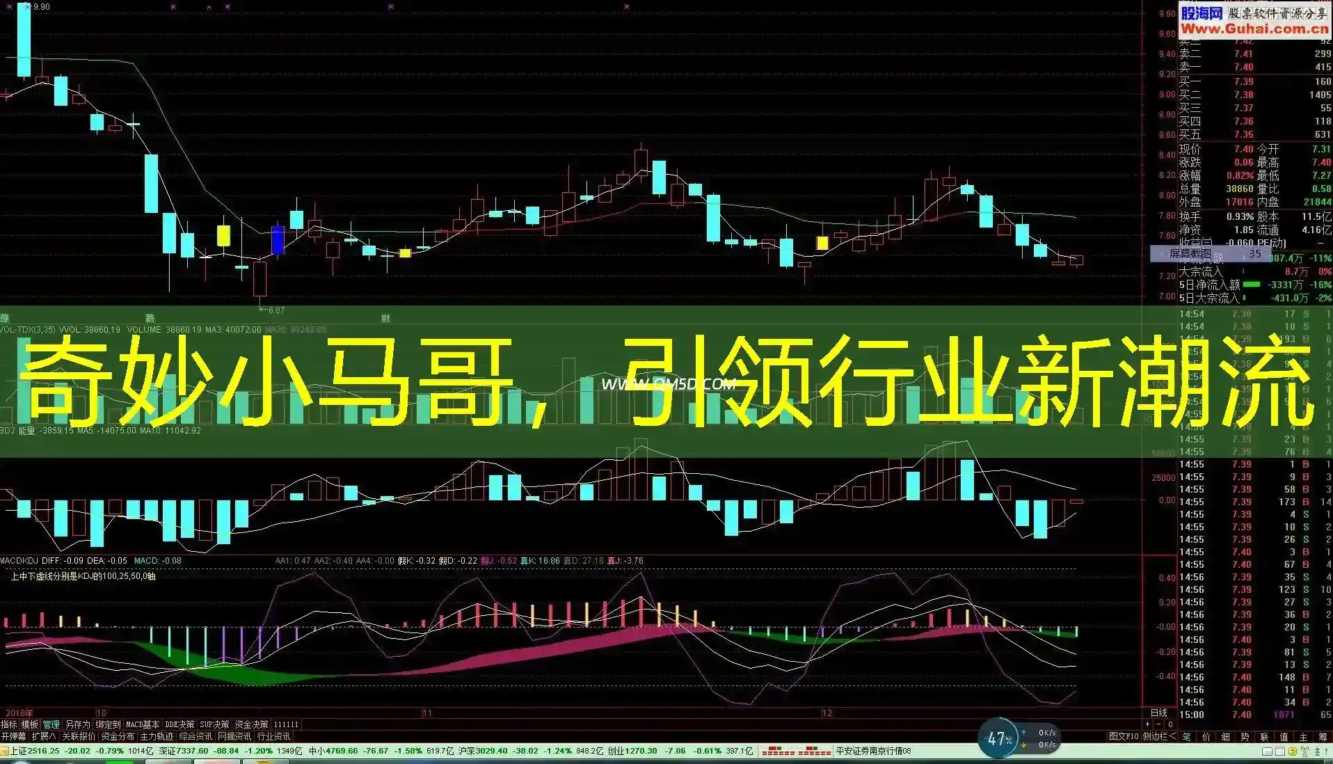奇妙小马哥，引领行业新潮流
