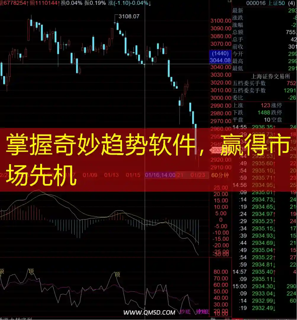 掌握奇妙趋势软件，赢得市场先机