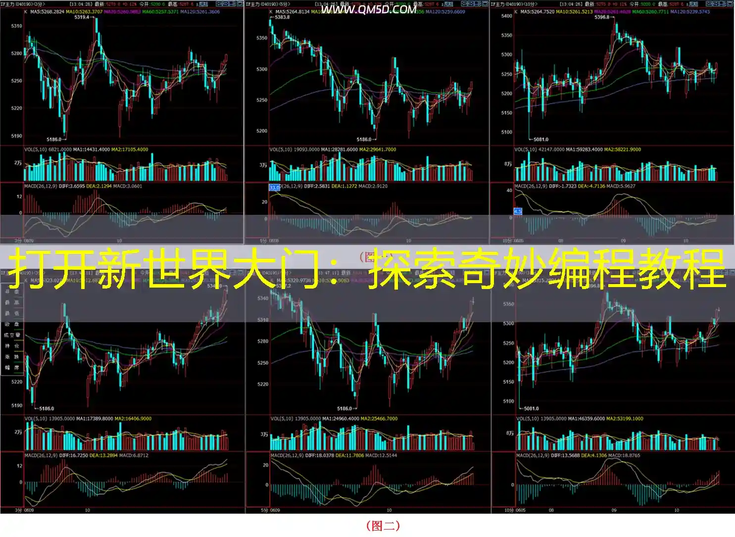打开新世界大门：探索奇妙编程教程