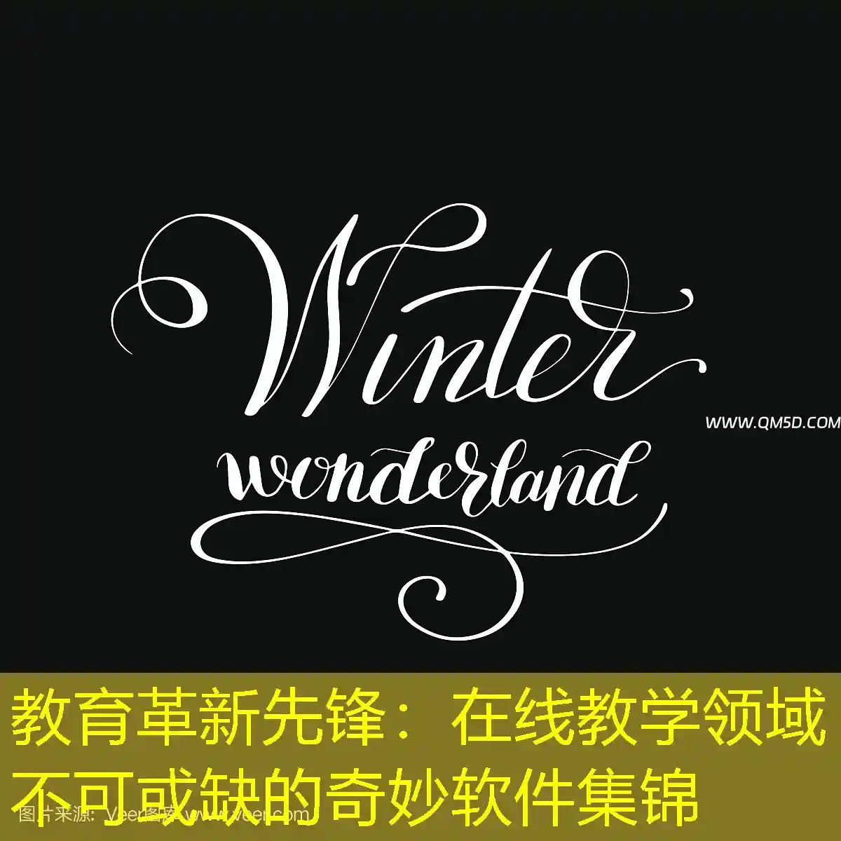 教育革新先锋：在线教学领域不可或缺的奇妙软件集锦