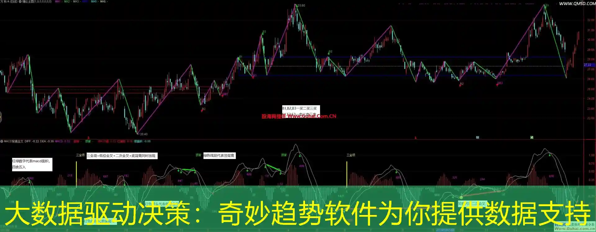 大数据驱动决策：奇妙趋势软件为你提供数据支持