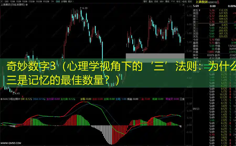 奇妙数字3（心理学视角下的‘三’法则：为什么三是记忆的最佳数量？）