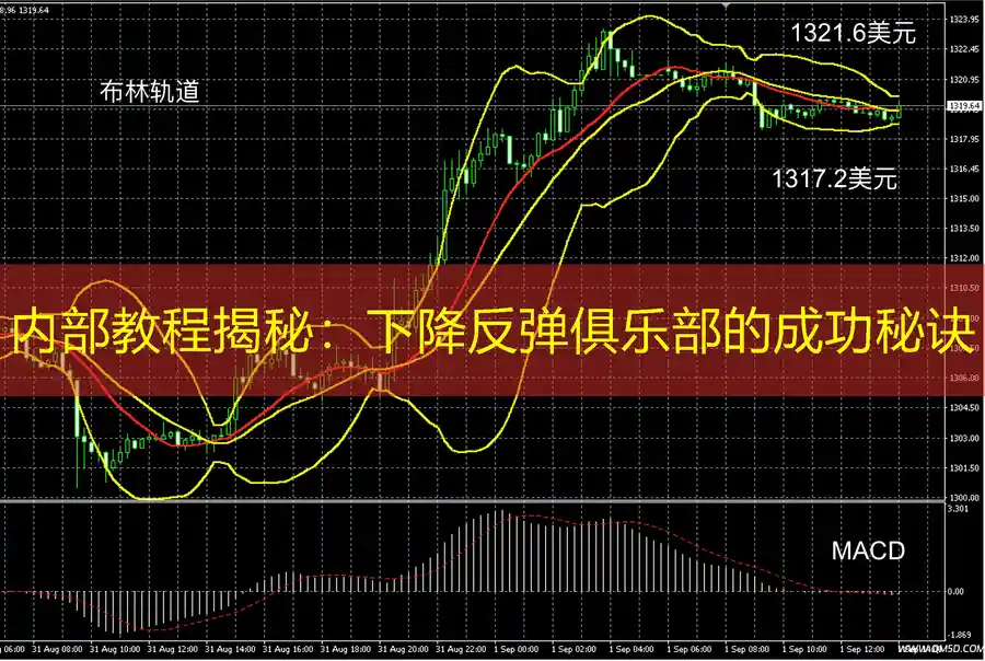 内部教程揭秘：下降反弹俱乐部的成功秘诀