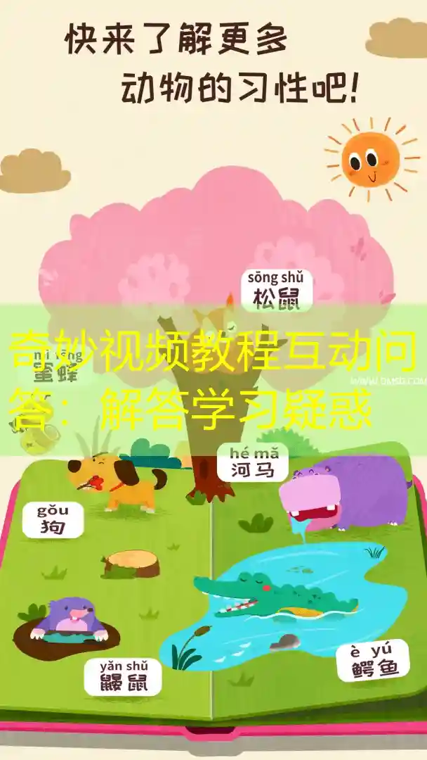 奇妙视频教程互动问答：解答学习疑惑