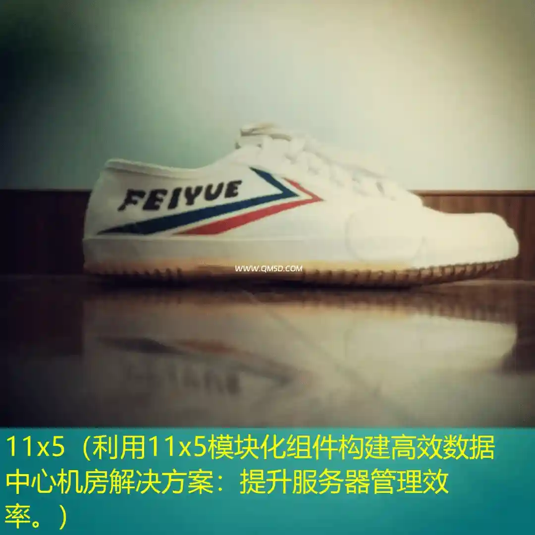 11x5（利用11x5模块化组件构建高效数据中心机房解决方案：提升服务器管理效率。）