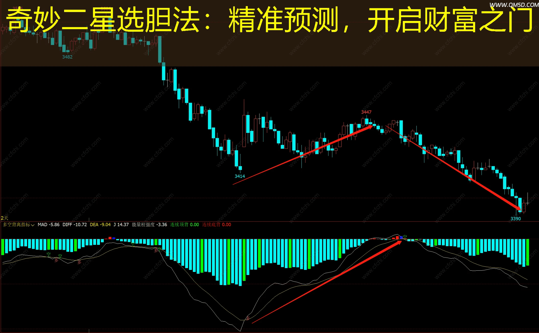 奇妙二星选胆法：精准预测，开启财富之门