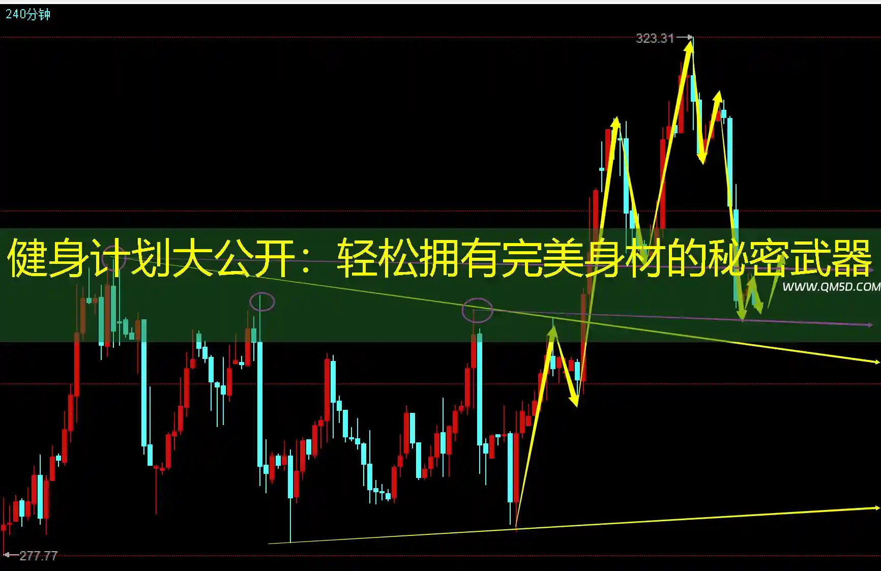 健身计划大公开：轻松拥有完美身材的秘密武器