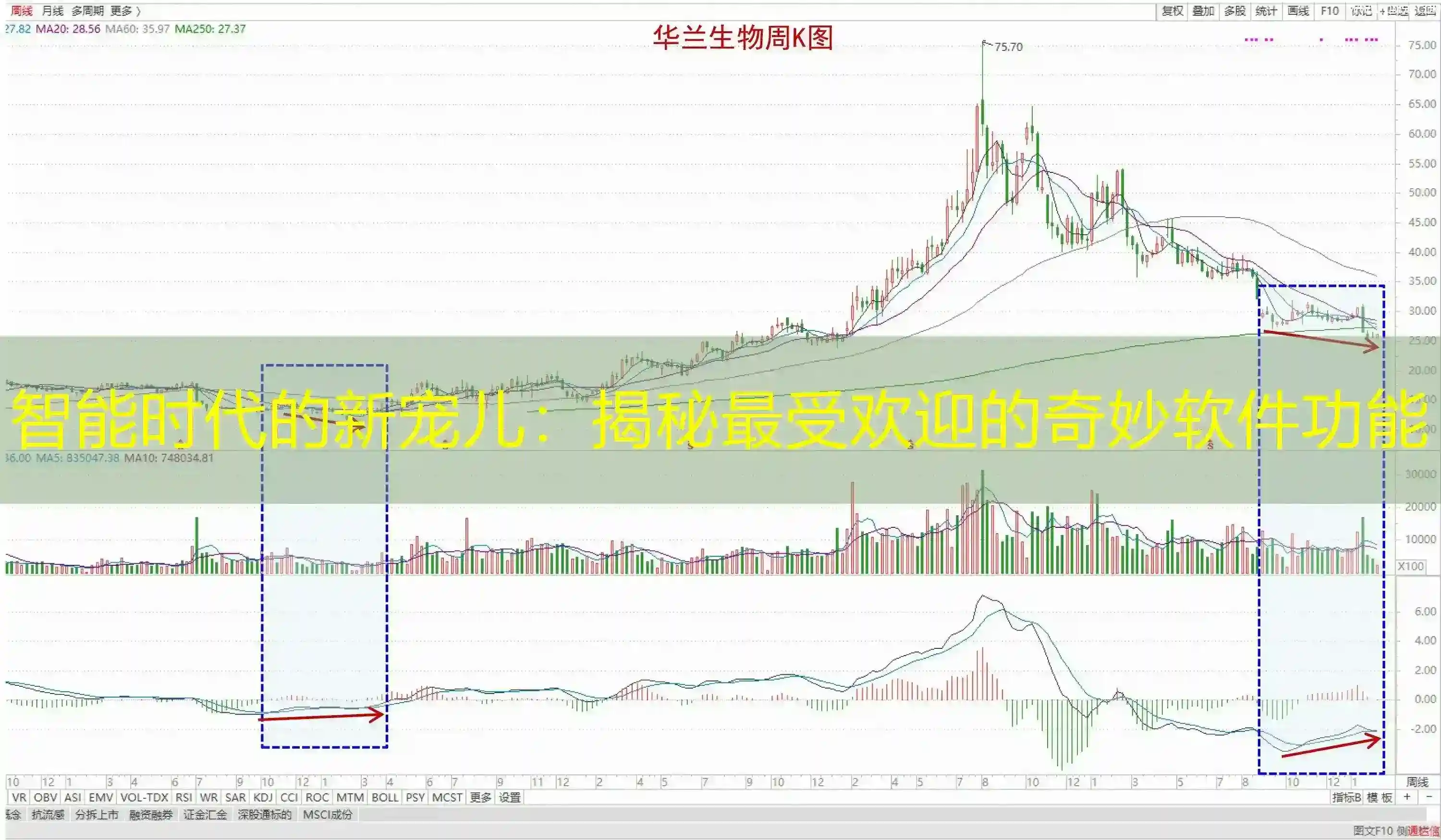 智能时代的新宠儿：揭秘最受欢迎的奇妙软件功能
