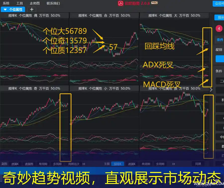 奇妙趋势视频，直观展示市场动态