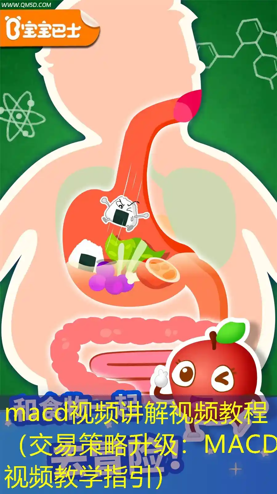 macd视频讲解视频教程（交易策略升级：MACD视频教学指引）