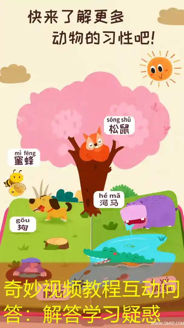 奇妙视频教程互动问答：解答学习疑惑