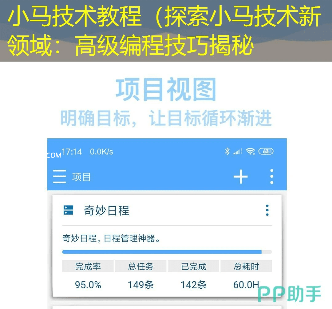 小马技术教程（探索小马技术新领域：高级编程技巧揭秘