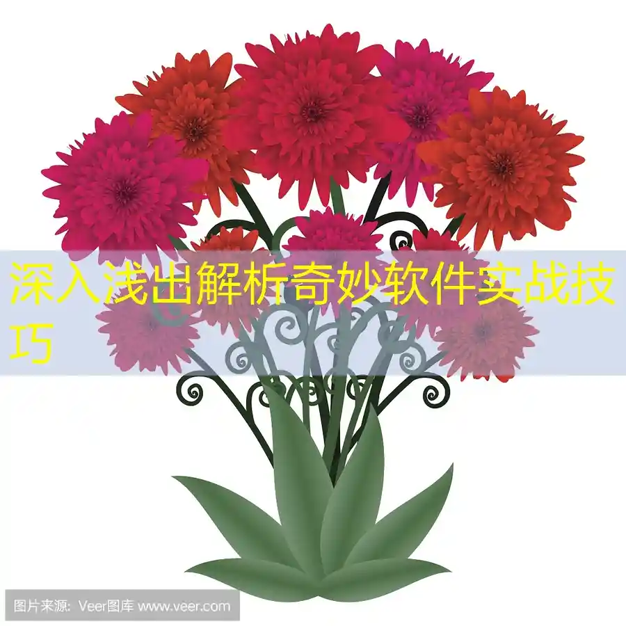 深入浅出解析奇妙软件实战技巧