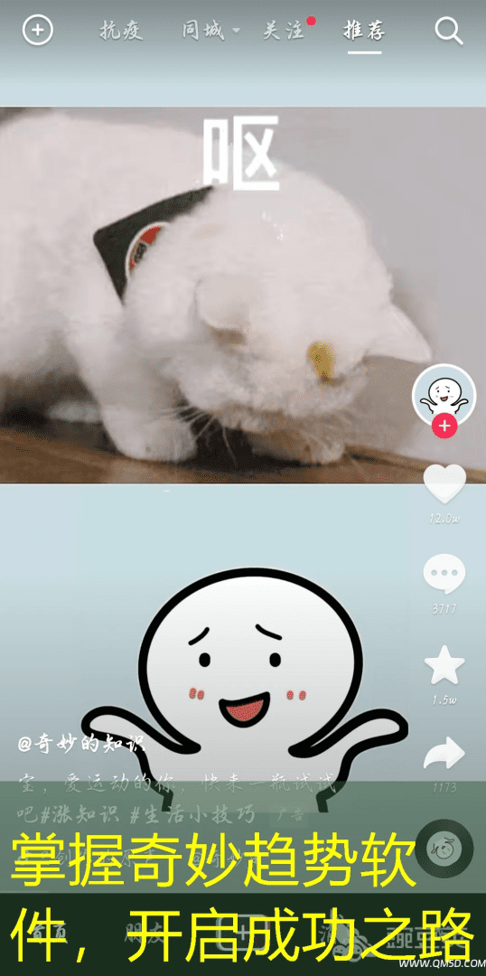 掌握奇妙趋势软件，开启成功之路