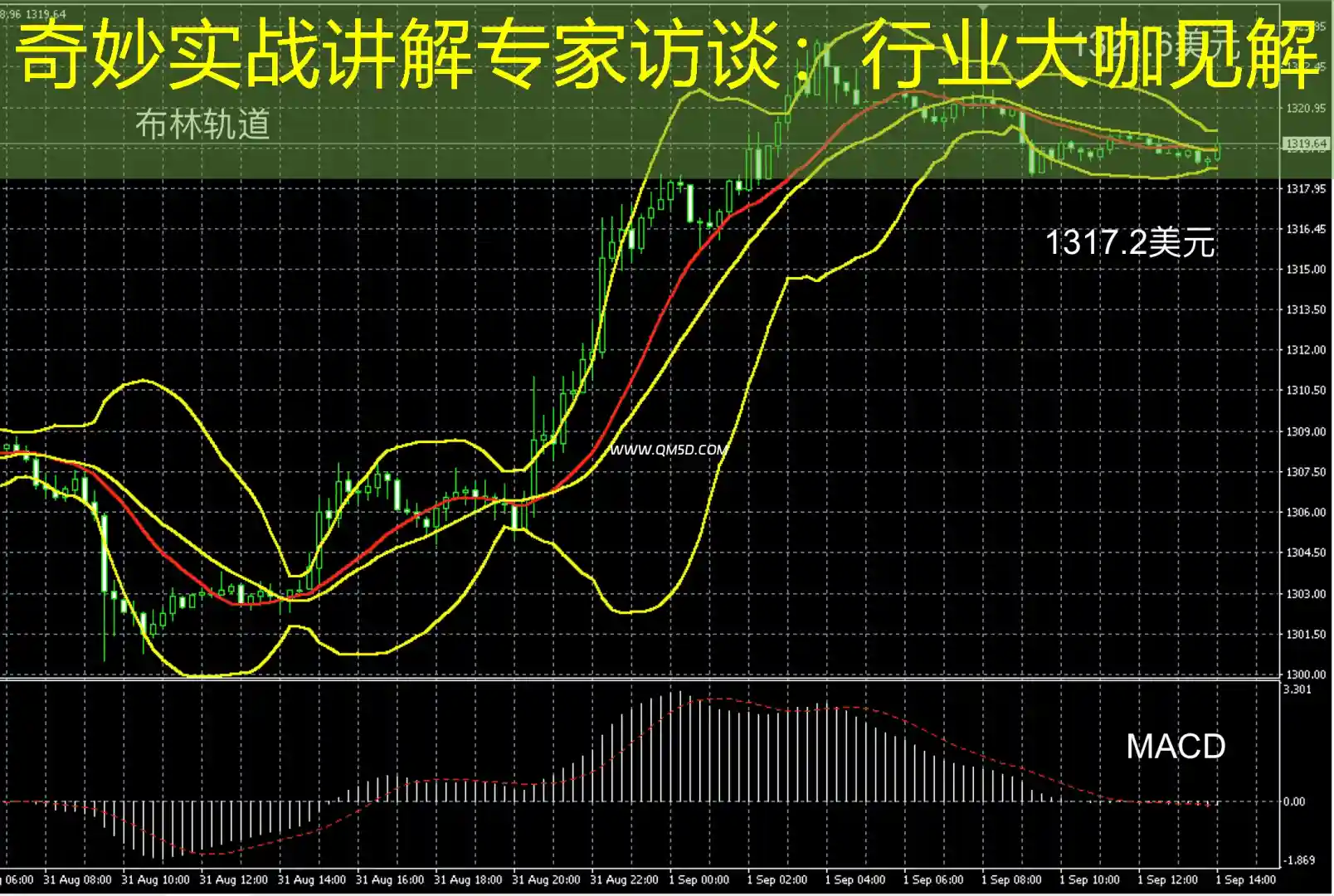 奇妙实战讲解专家访谈：行业大咖见解