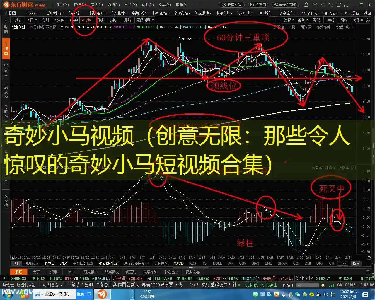 奇妙小马视频（创意无限：那些令人惊叹的奇妙小马短视频合集）