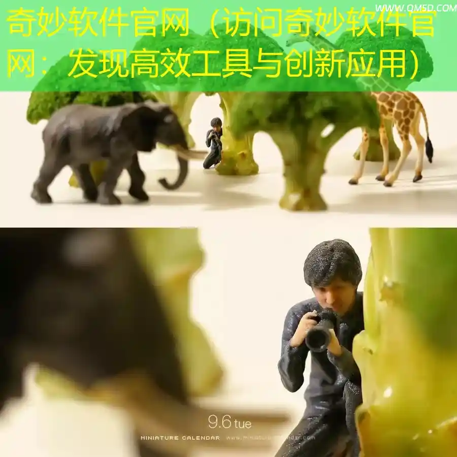 奇妙软件官网（访问奇妙软件官网：发现高效工具与创新应用）