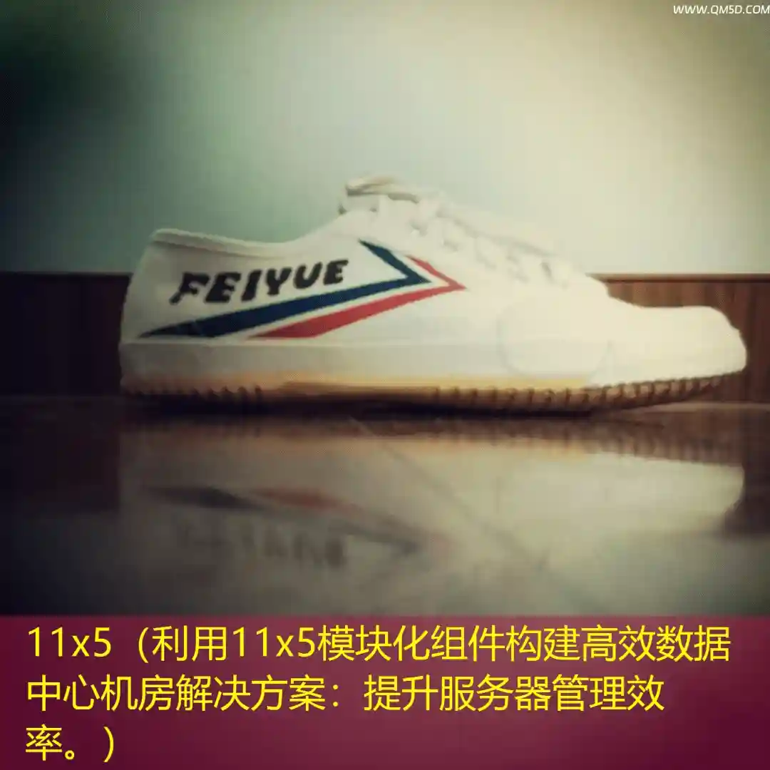 11x5（利用11x5模块化组件构建高效数据中心机房解决方案：提升服务器管理效率。）