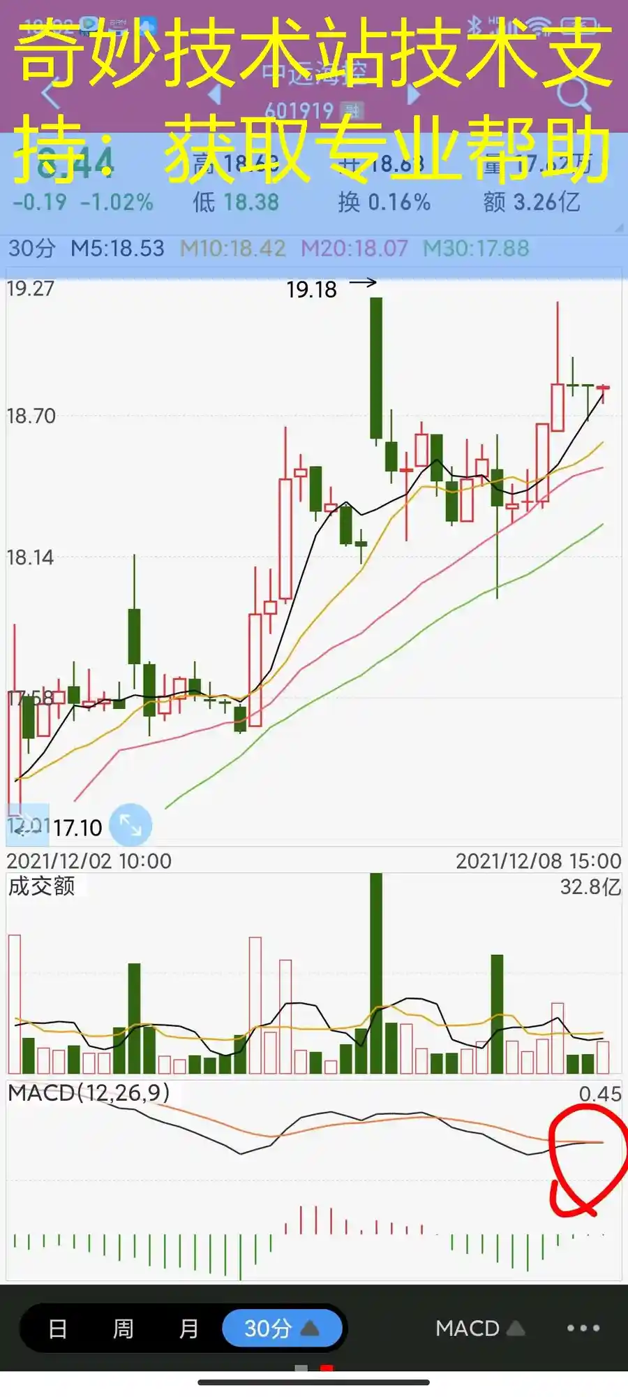 奇妙技术站技术支持：获取专业帮助