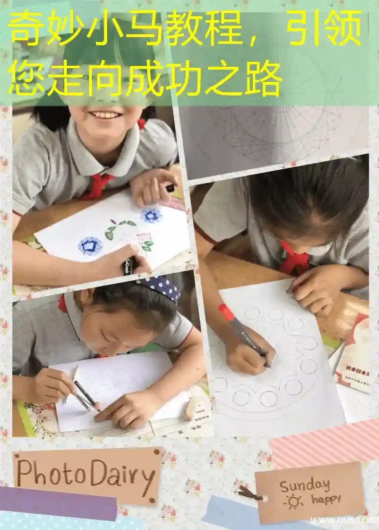 奇妙小马教程，引领您走向成功之路