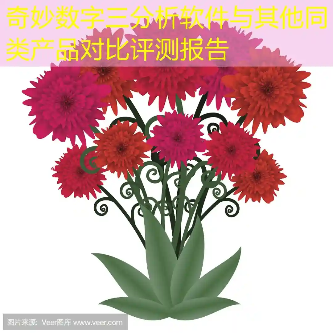 奇妙数字三分析软件与其他同类产品对比评测报告