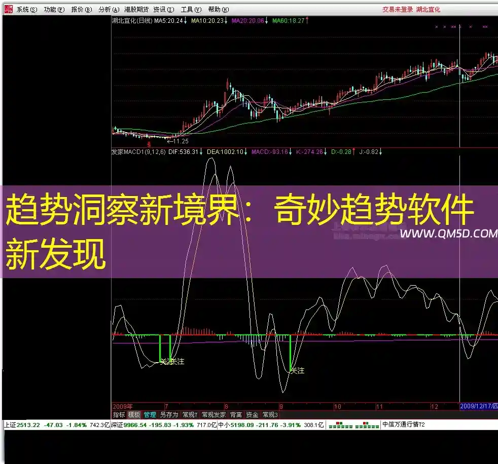 趋势洞察新境界：奇妙趋势软件新发现