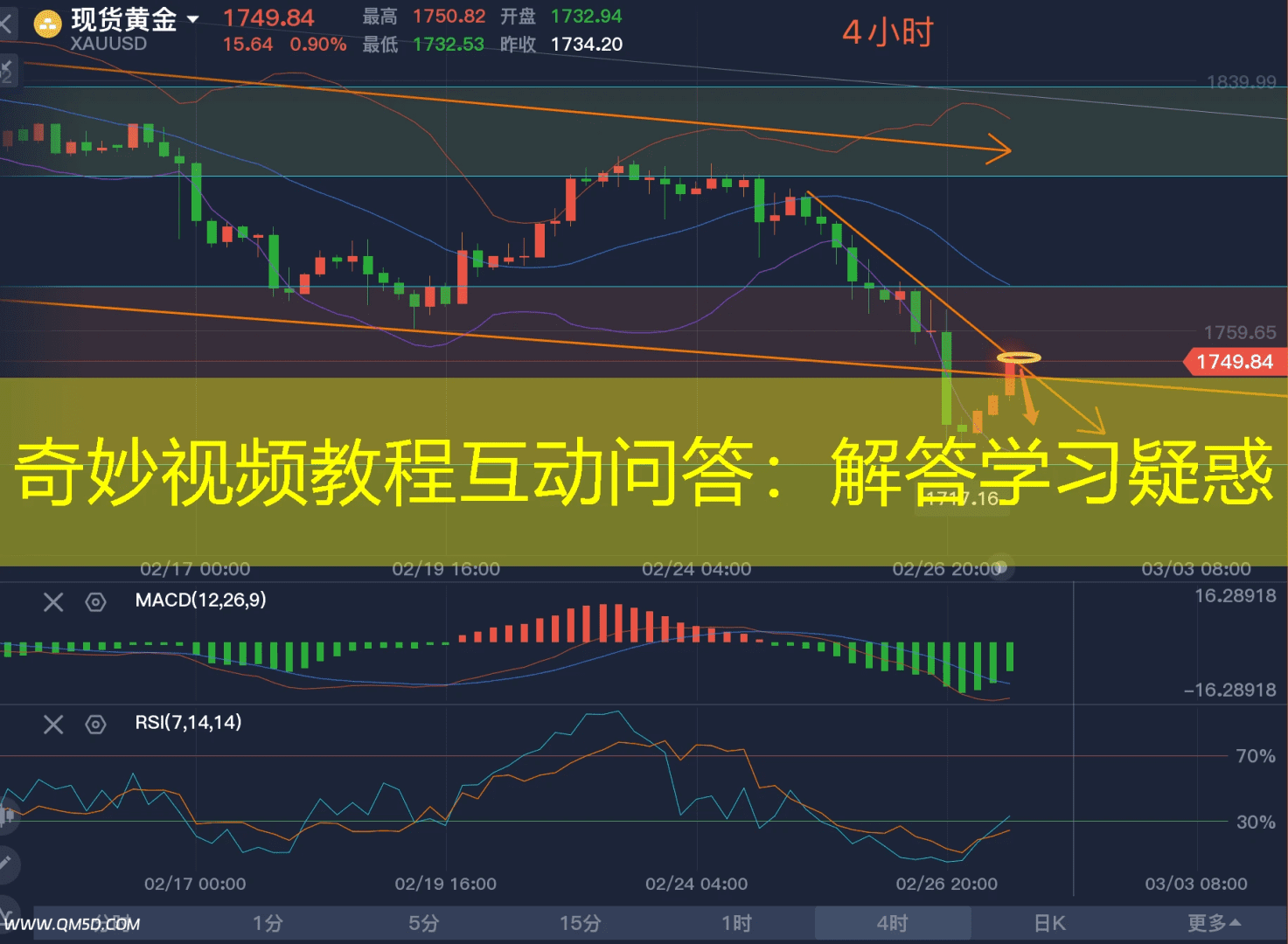 奇妙视频教程互动问答：解答学习疑惑